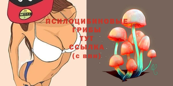 прущие грибы Верхний Тагил