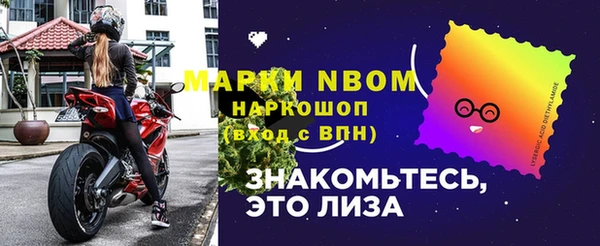 прущие грибы Верхний Тагил