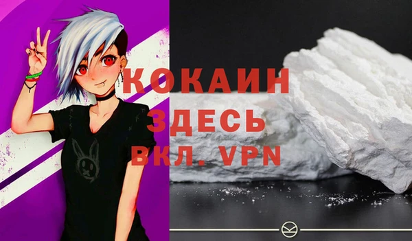 прущие грибы Верхний Тагил