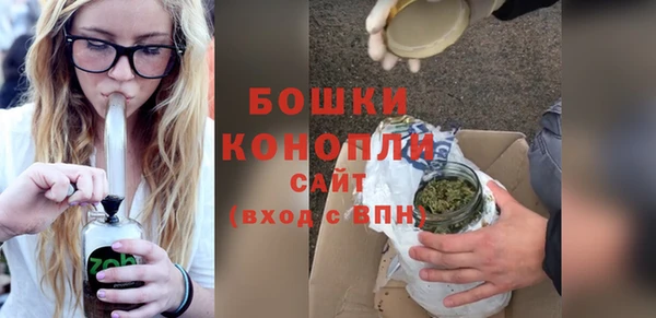 прущие грибы Верхний Тагил